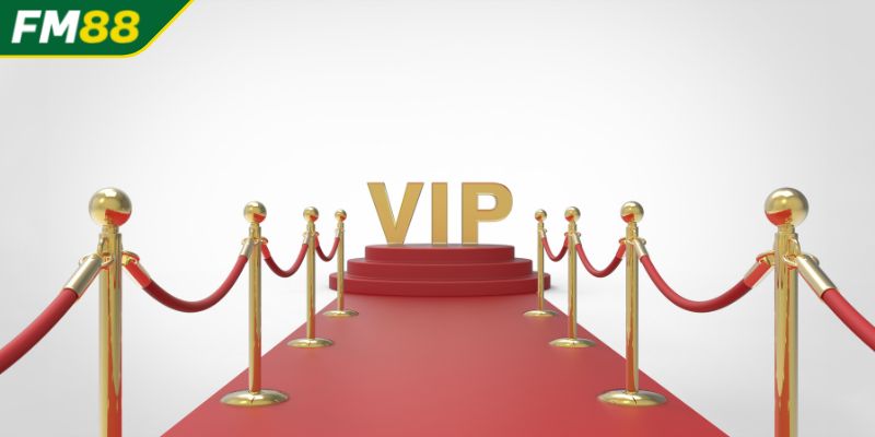 Đặc quyền hấp dẫn dành riêng cho thành viên VIP