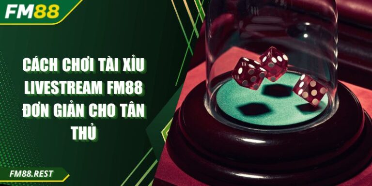 Cách Chơi Tài Xỉu Livestream FM88 Đơn Giản Cho Tân Thủ